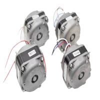 MICRO MOTOR 1/40 220V